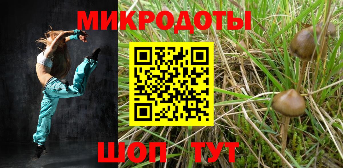 Псилоцибиновые грибы мицелий Псков